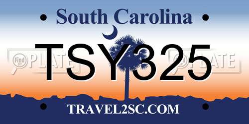TSY325 South Carolina License Plate