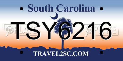 TSY6216 South Carolina License Plate