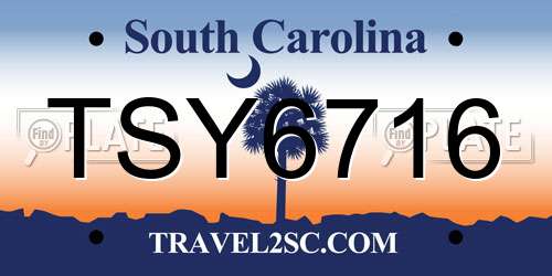 TSY6716 South Carolina License Plate