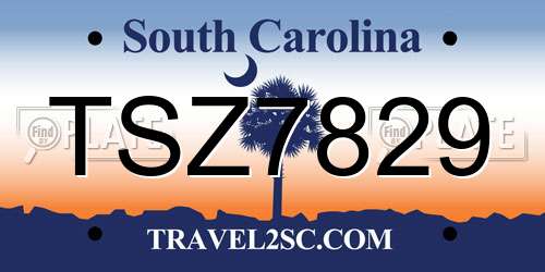 TSZ7829 South Carolina License Plate