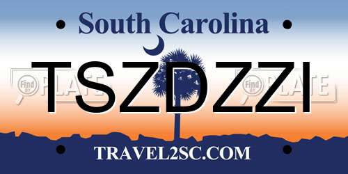 TSZDZZI South Carolina License Plate
