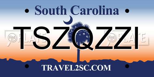 TSZQZZI South Carolina License Plate