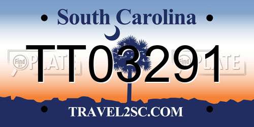 TT03291 South Carolina License Plate