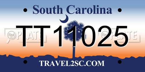 TT11025 South Carolina License Plate