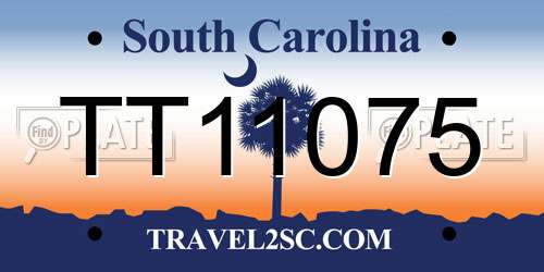 TT11075 South Carolina License Plate