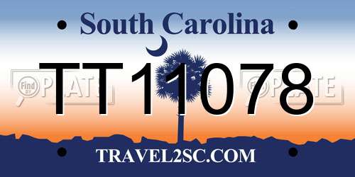 TT11078 South Carolina License Plate