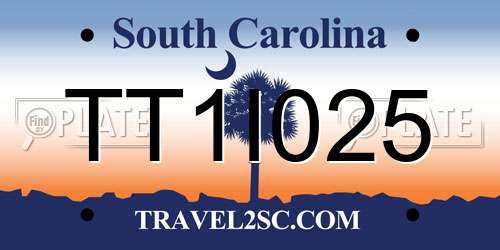 TT1I025 South Carolina License Plate