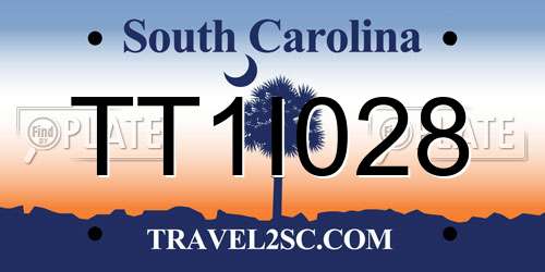 TT1I028 South Carolina License Plate