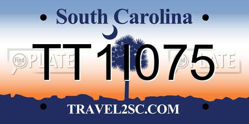 TT1I075 South Carolina License Plate