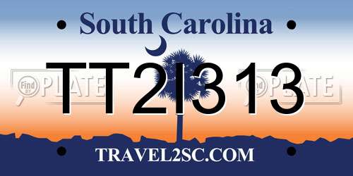 TT2I313 South Carolina License Plate