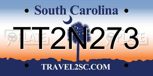 TT2N273 South Carolina License Plate