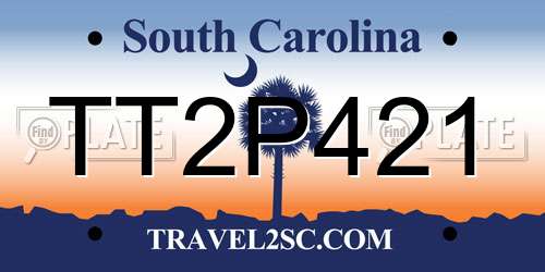 TT2P421 South Carolina License Plate