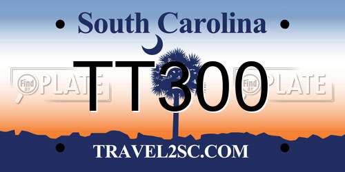 TT300 South Carolina License Plate