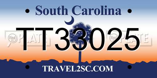 TT33025 South Carolina License Plate