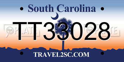 TT33028 South Carolina License Plate