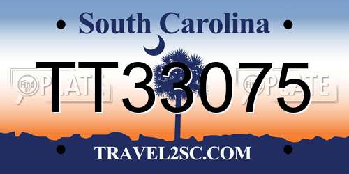TT33075 South Carolina License Plate