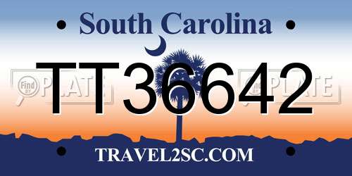 TT36642 South Carolina License Plate
