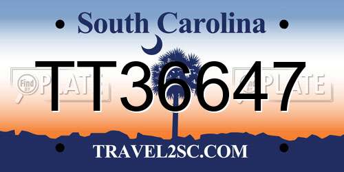 TT36647 South Carolina License Plate