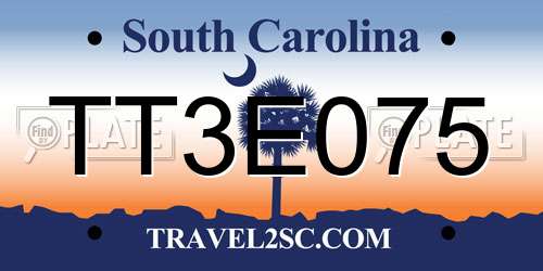 TT3E075 South Carolina License Plate