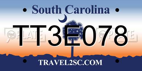 TT3E078 South Carolina License Plate