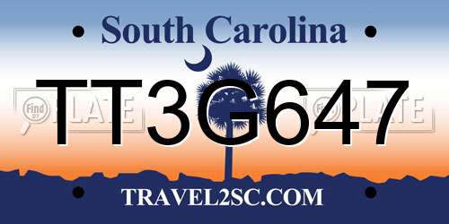TT3G647 South Carolina License Plate