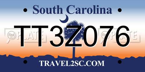 TT3Z076 South Carolina License Plate