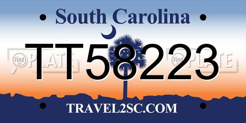 TT58223 South Carolina License Plate