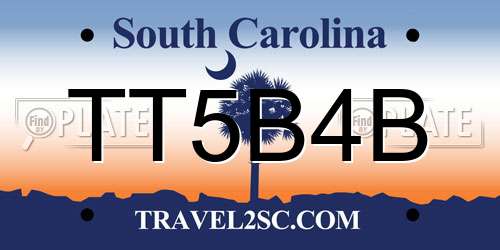 TT5B4B South Carolina License Plate