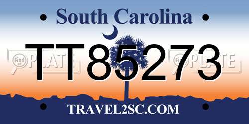 TT85273 South Carolina License Plate