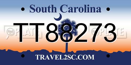 TT88273 South Carolina License Plate