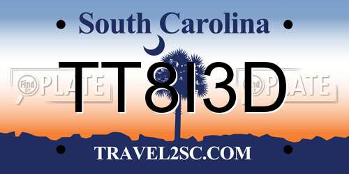 TT8I3D South Carolina License Plate