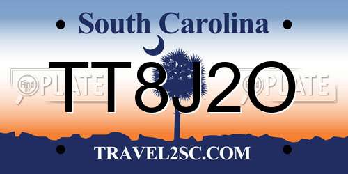 TT8J2O South Carolina License Plate