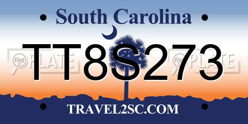 TT8S273 South Carolina License Plate