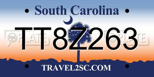 TT8Z263 South Carolina License Plate