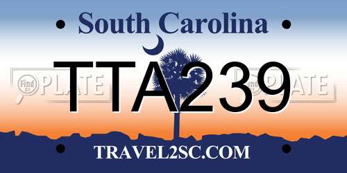 TTA239 South Carolina License Plate