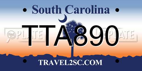 TTA890 South Carolina License Plate