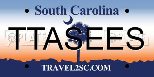 TTASEES South Carolina License Plate