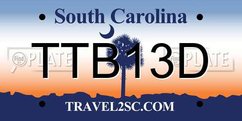 TTB13D South Carolina License Plate