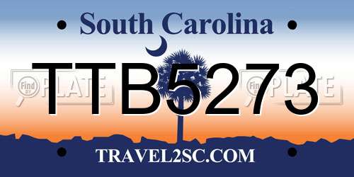TTB5273 South Carolina License Plate