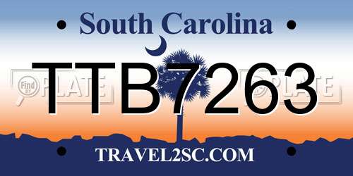 TTB7263 South Carolina License Plate