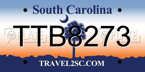 TTB8273 South Carolina License Plate