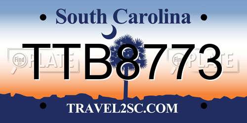 TTB8773 South Carolina License Plate