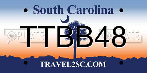 TTBB48 South Carolina License Plate