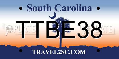 TTBE38 South Carolina License Plate