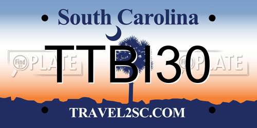TTBI30 South Carolina License Plate