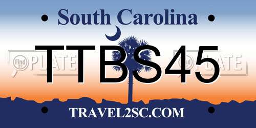 TTBS45 South Carolina License Plate