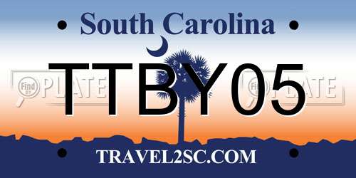 TTBY05 South Carolina License Plate