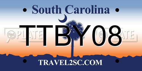 TTBY08 South Carolina License Plate