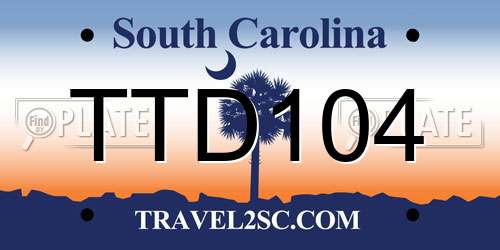 TTD104 South Carolina License Plate