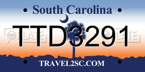 TTD3291 South Carolina License Plate